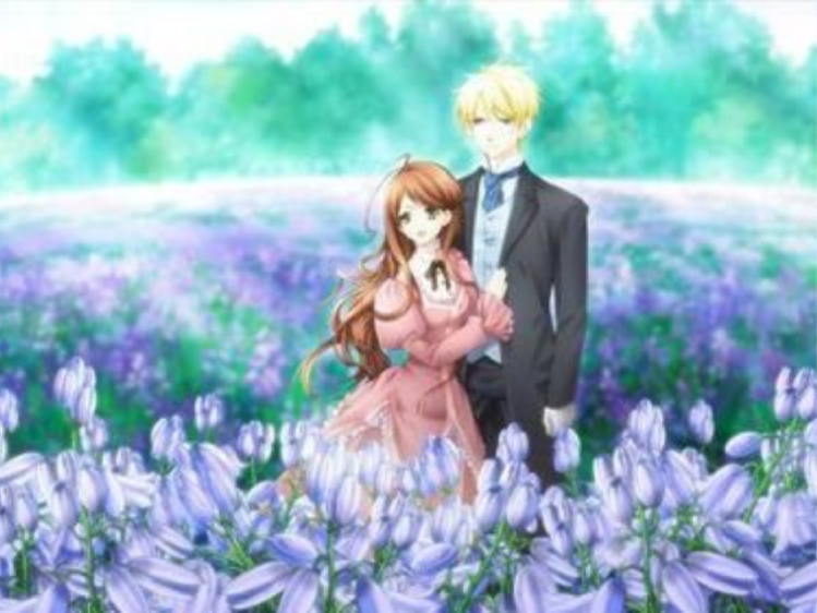 *Sắc-H* Tulip Đen Huyền Bí – Kiều Ninh