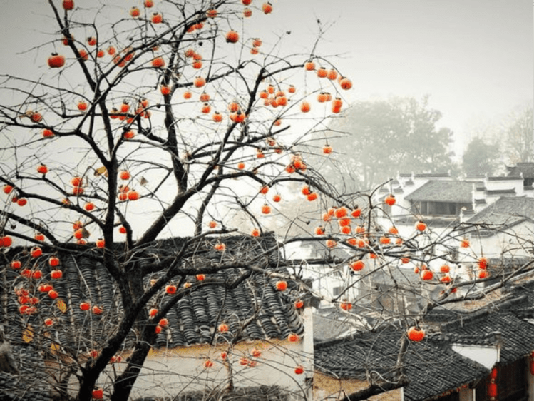 [Hán Việt] Nhật Ký Sinh Hoạt Của Đế Hậu Tại Thập Niên 60 – Sơn Tra Hoàn Tử