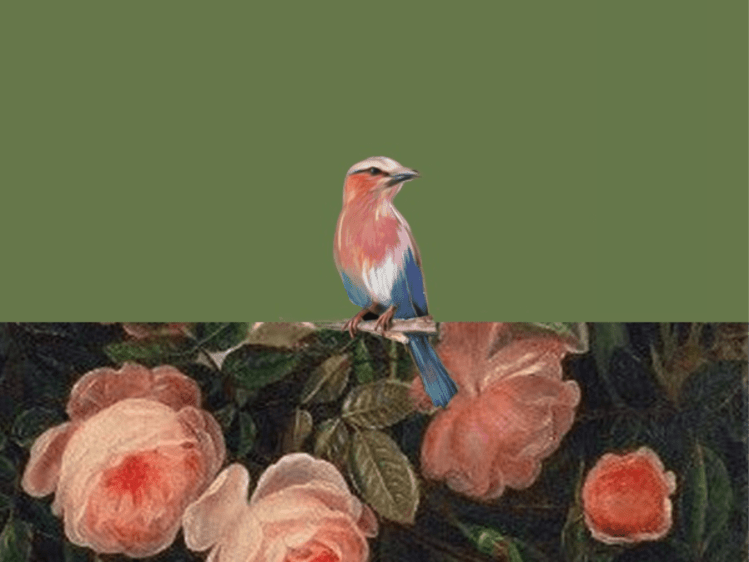 *Đam Mỹ* Có Con Chim Sơn Ca – Bạc Ngạn Biên