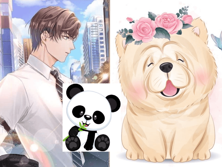 Giả Trang Thành Gấu Trúc Quốc Bảo – Thập Vĩ Thỏ