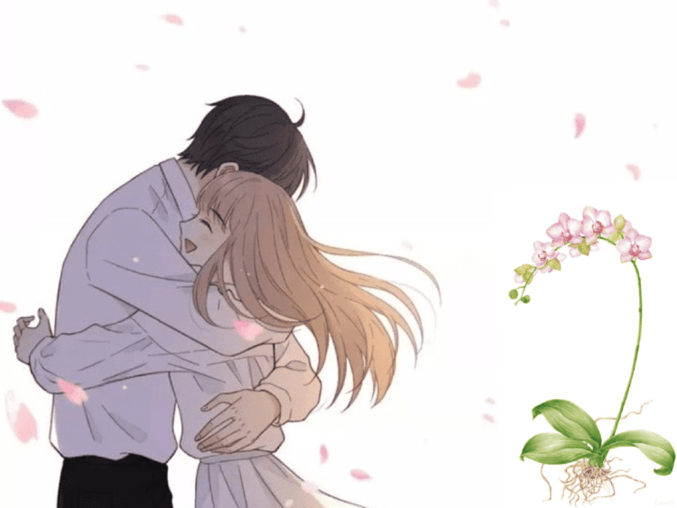 Ảnh Đế Dưỡng Cây Hoa Lan Tinh – Hồ Châu Tử